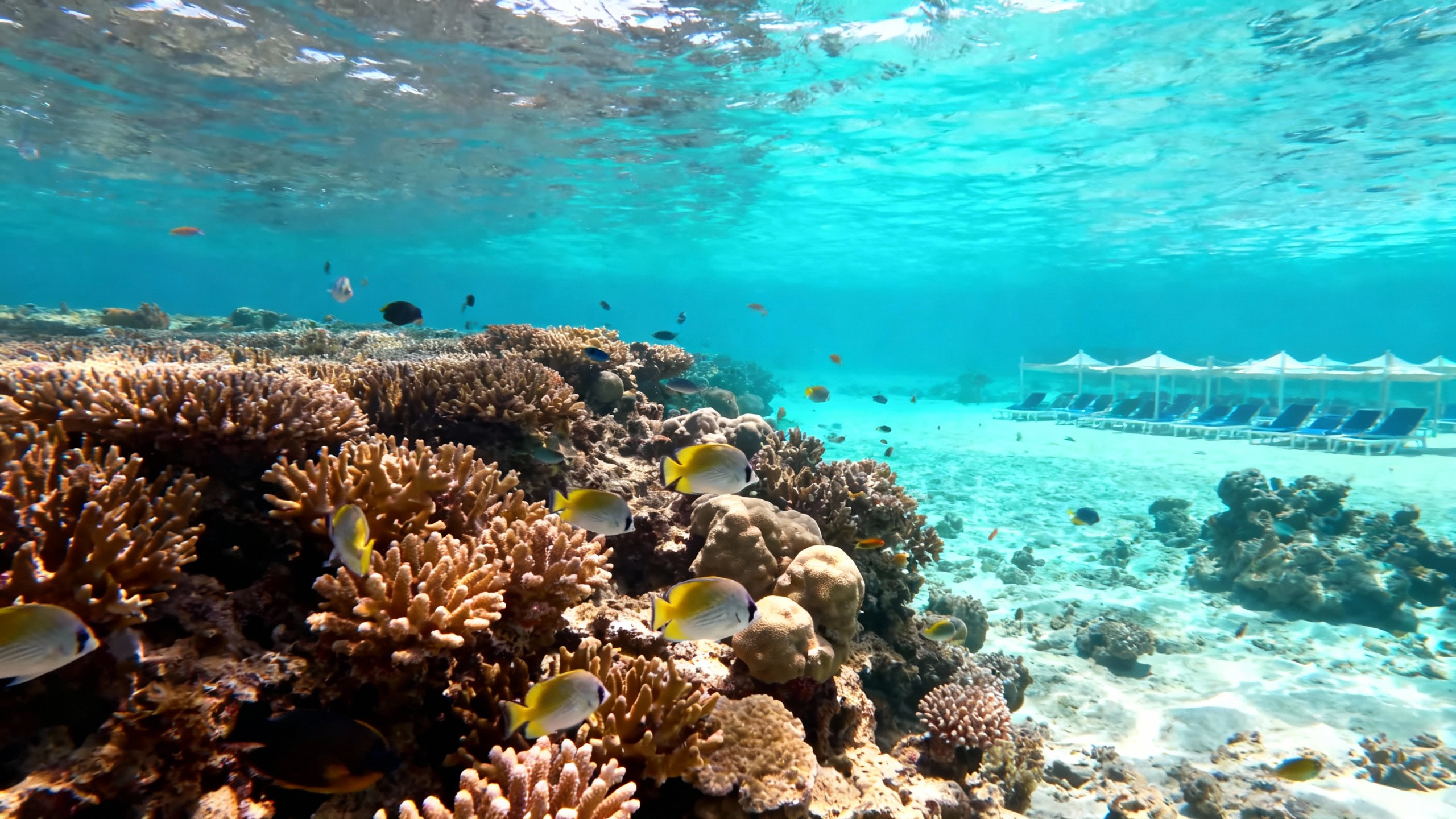 Єгипет, Шарм-ель-Шейх